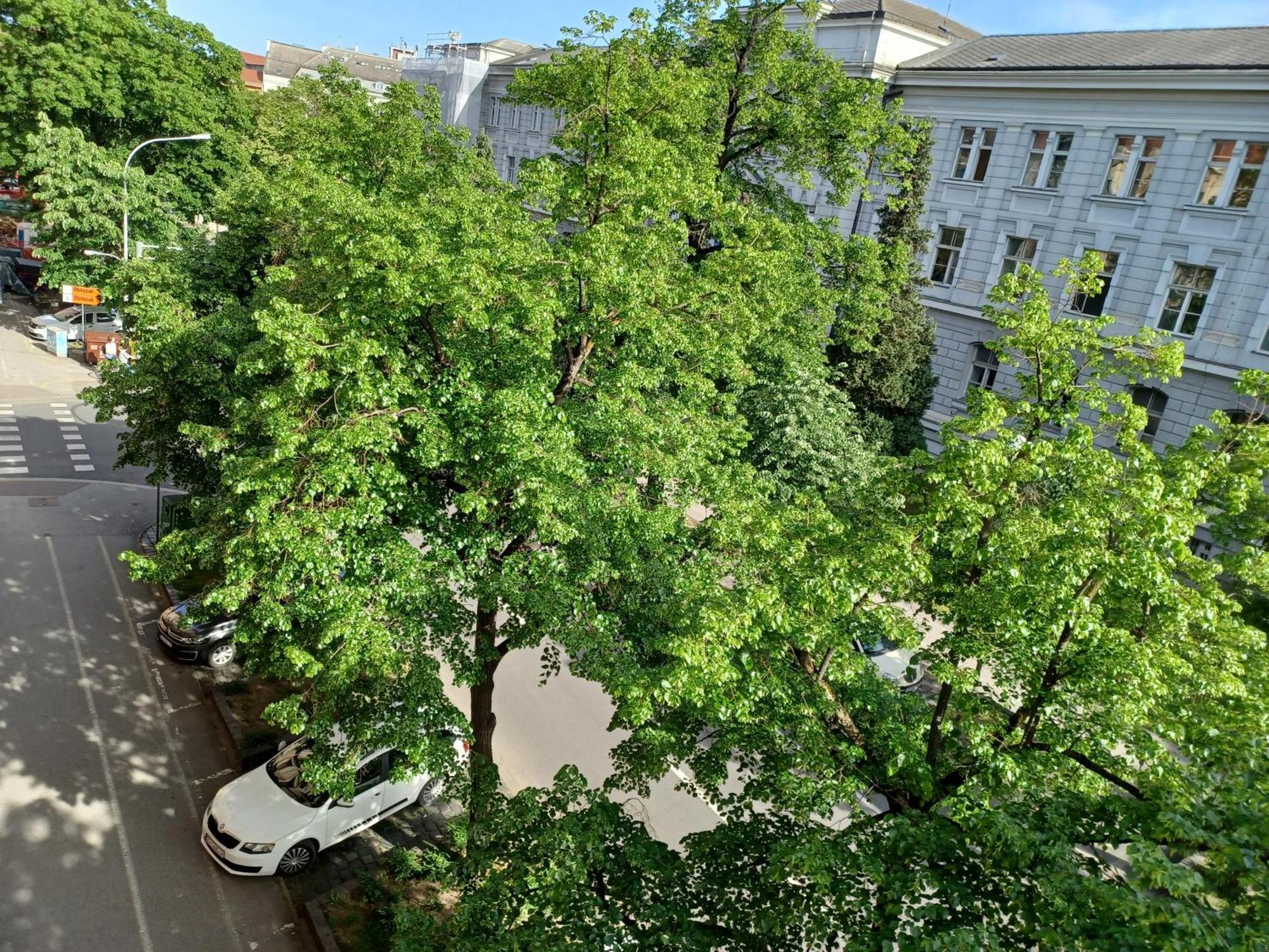 Theatrum * Zagreb